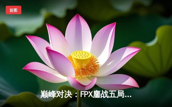 巅峰对决：FPX鏖战五局力克RNG，问鼎LPL夏季赛总冠军